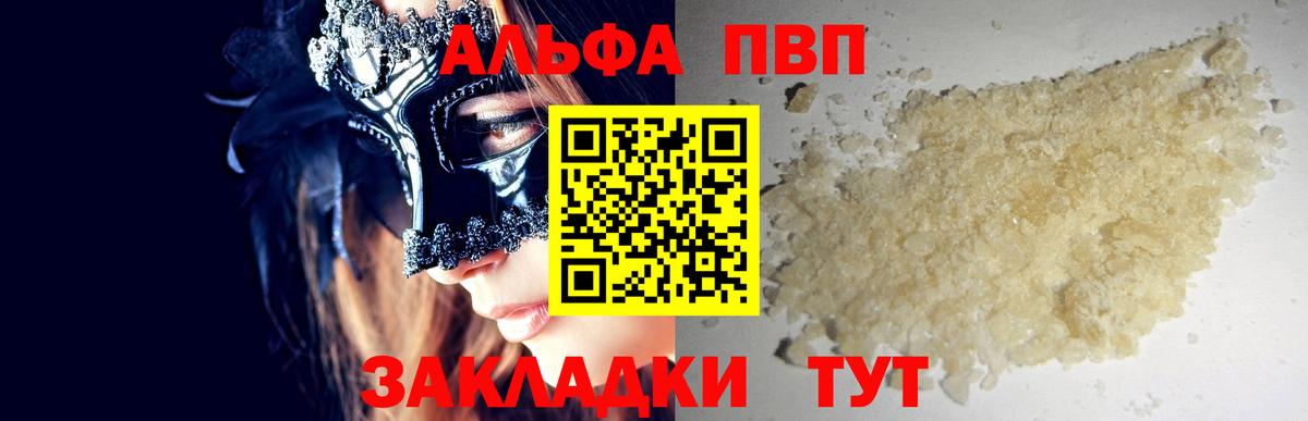 Alfa_PVP СК КРИС Петрозаводск
